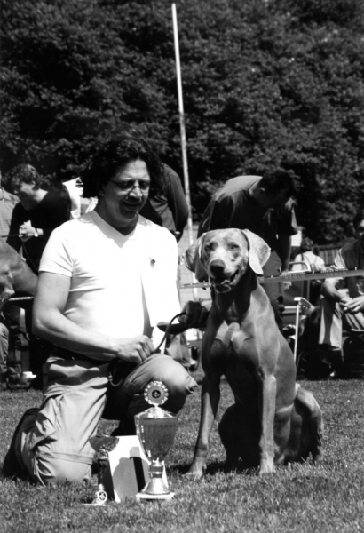 Abel Pingus Sirius van Bekkeman wordt Kampioenschapsclubmatchwinnaar 2003 van de Weimarse staande hond
